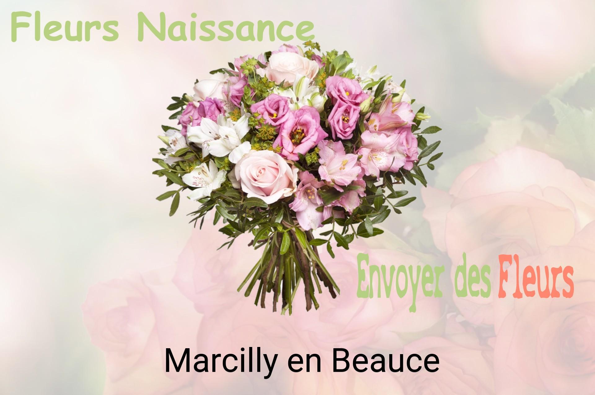 Bouquet de fleurs de naissance livré à Marcilly-en-Beauce
